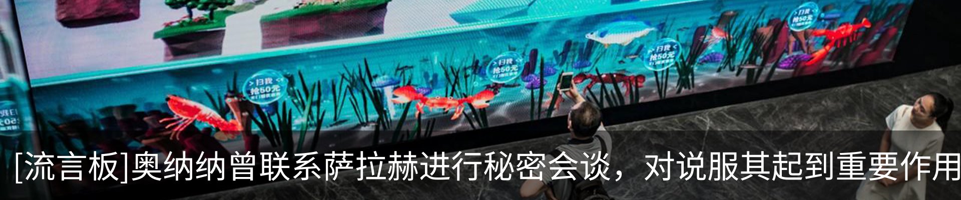 最新动态